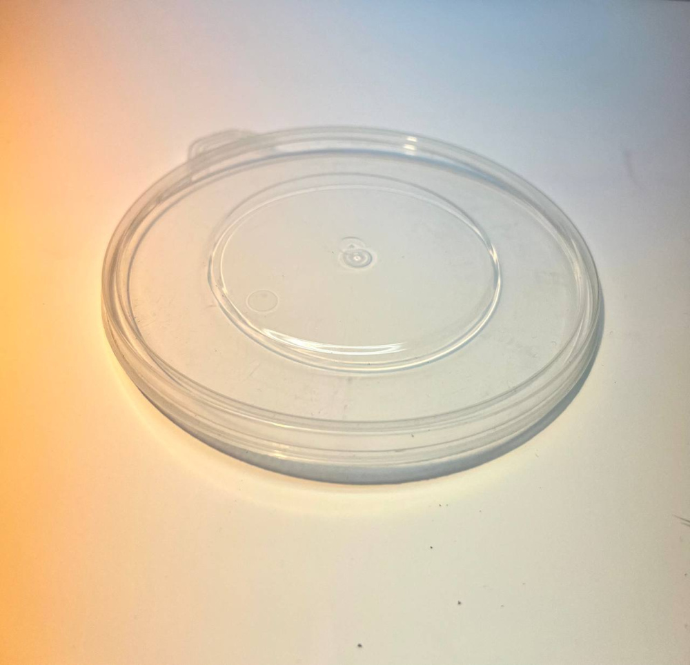 photo_5228873858700922310_y